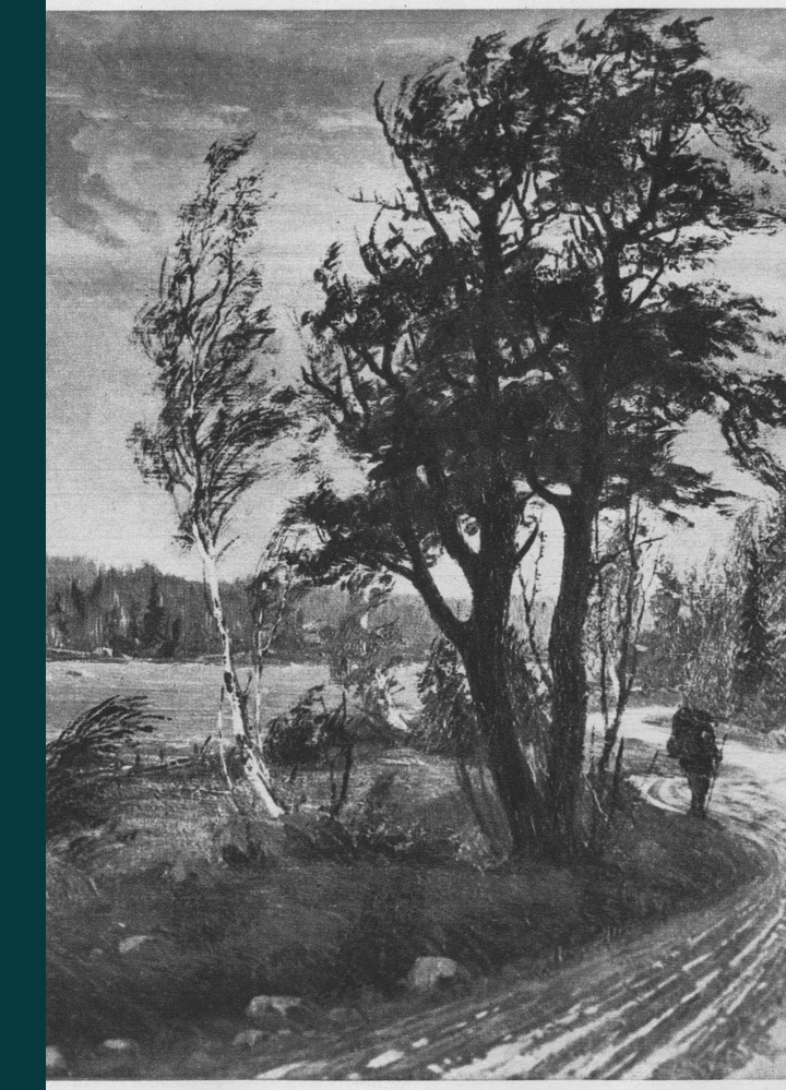 Okładka: Elegia na śmierć szczegółów