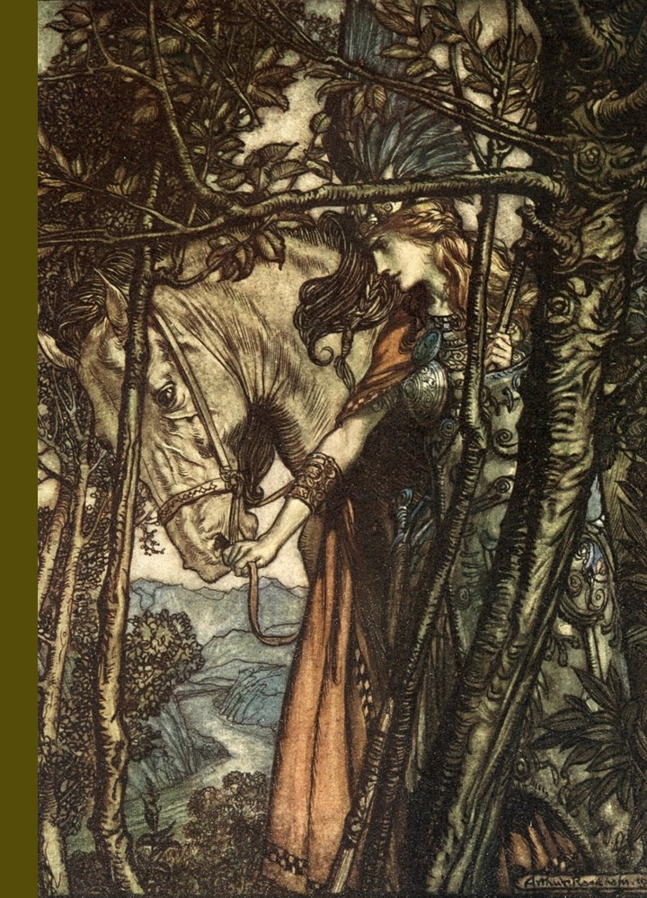 Okładka: Niedola Nibelungów