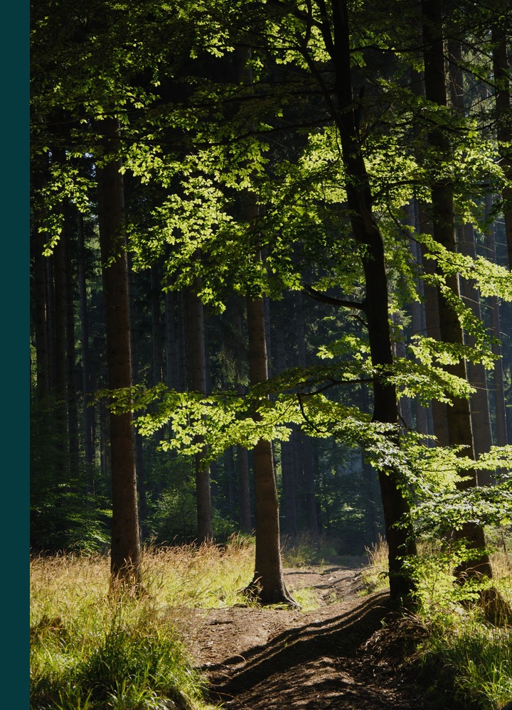 Okładka: Nietzsche: hańbą jest być szczęśliwym!