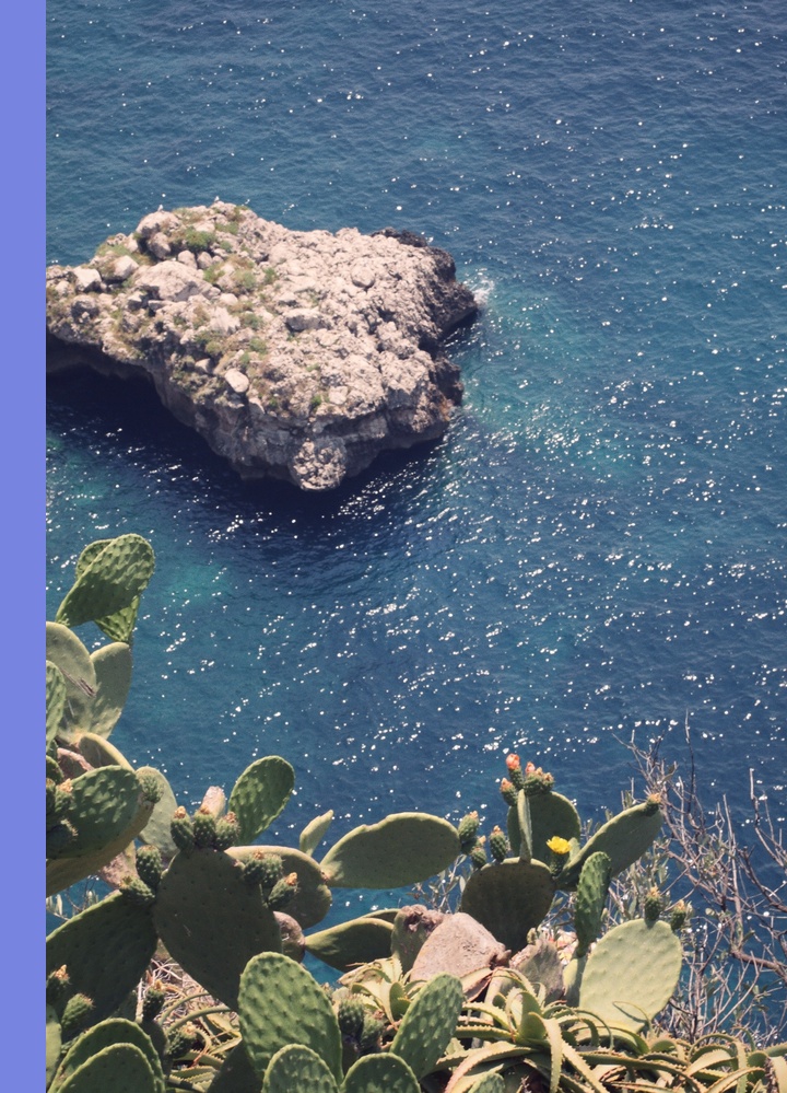 Okładka: Capri