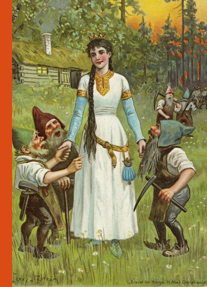 Okładka: Śnieżka