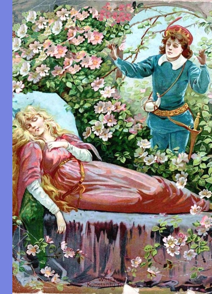 Okładka: Śpiąca królewna